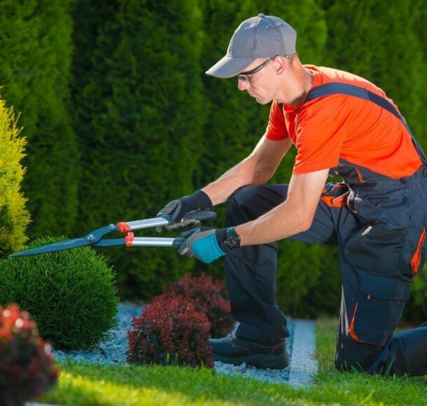 window cleaning services in noida