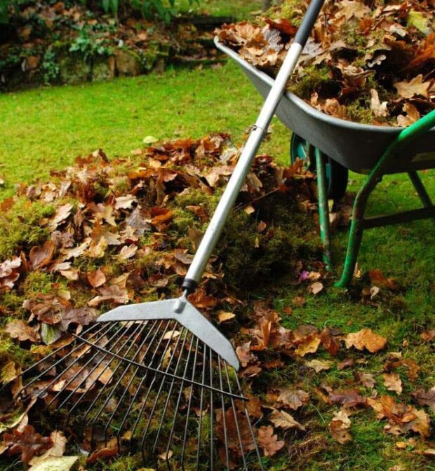floor cleaning services cost